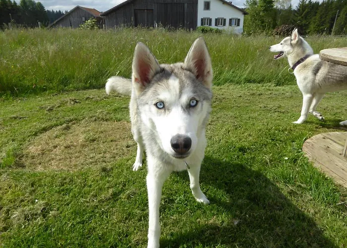 Vent_du_nord Lejlighed *